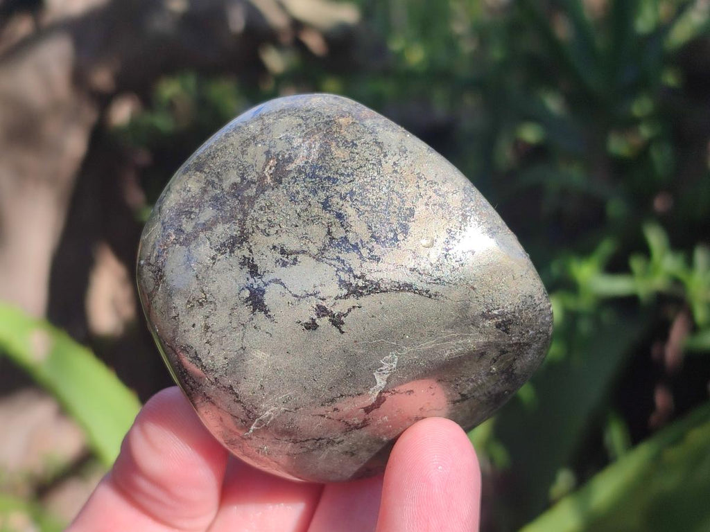 Polished Basalt Pharaoh Stone Free Forms x 12 From Iron Duke Mine, Zimbabwe - Toprock Gemstones and Minerals 