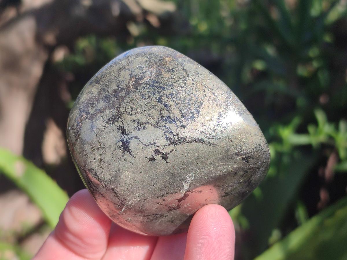 Polished Basalt Pharaoh Stone Free Forms x 12 From Iron Duke Mine, Zimbabwe - Toprock Gemstones and Minerals 