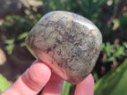 Polished Basalt Pharaoh Stone Free Forms x 12 From Iron Duke Mine, Zimbabwe - Toprock Gemstones and Minerals 