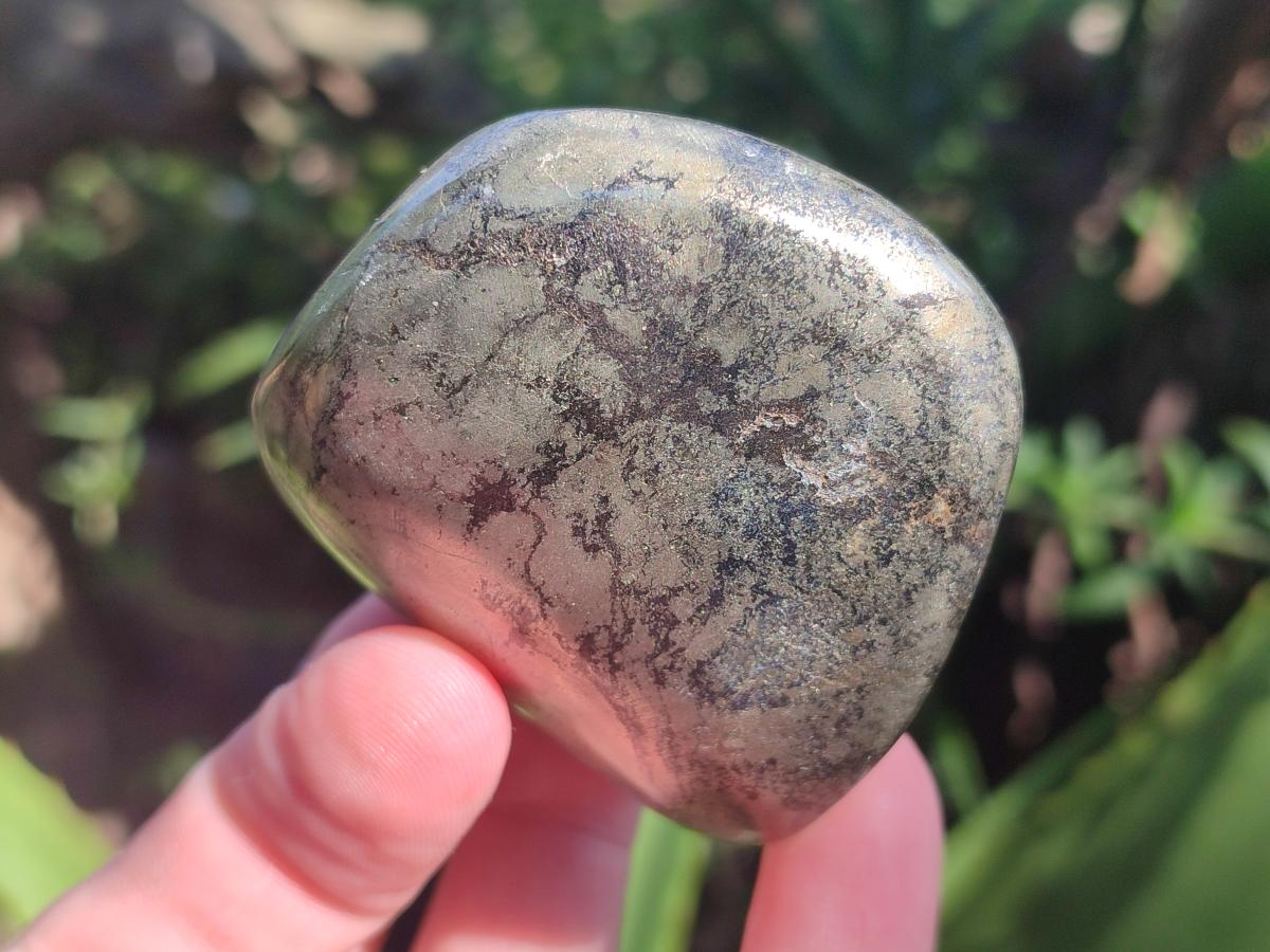 Polished Basalt Pharaoh Stone Free Forms x 12 From Iron Duke Mine, Zimbabwe - Toprock Gemstones and Minerals 