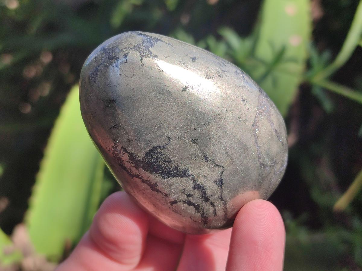 Polished Basalt Pharaoh Stone Free Forms x 12 From Iron Duke Mine, Zimbabwe - Toprock Gemstones and Minerals 