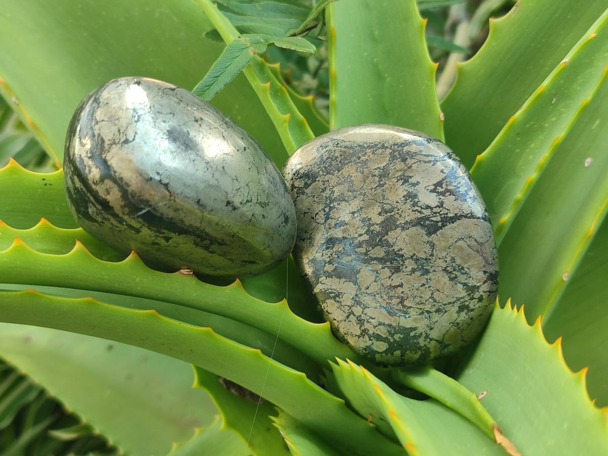 Polished Basalt Pharaoh Stone Free Forms x 12 From Iron Duke Mine, Zimbabwe - Toprock Gemstones and Minerals 