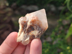 Natural Pineapple Quartz Crystals x 35 From Antsirabe, Madagascar - Toprock Gemstones and Minerals 