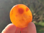 Polished Small Carnelian Agate Gemstone Galets x 49 From Madagascar - Toprock Gemstones and Minerals 