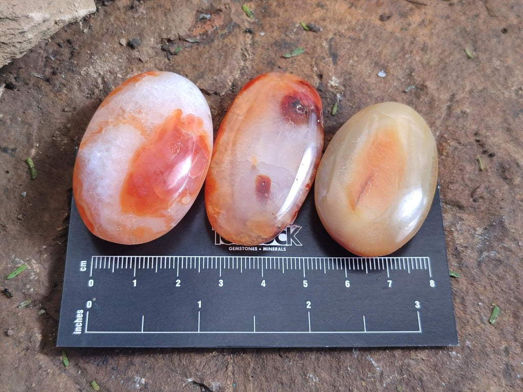 Polished Small Carnelian Agate Gemstone Galets x 49 From Madagascar - Toprock Gemstones and Minerals 