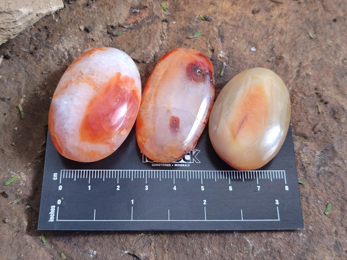 Polished Small Carnelian Agate Gemstone Galets x 49 From Madagascar - Toprock Gemstones and Minerals 