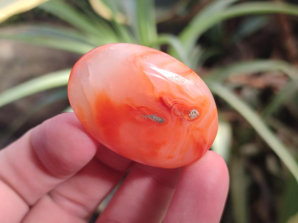 Polished Small Carnelian Agate Gemstone Galets x 49 From Madagascar - Toprock Gemstones and Minerals 