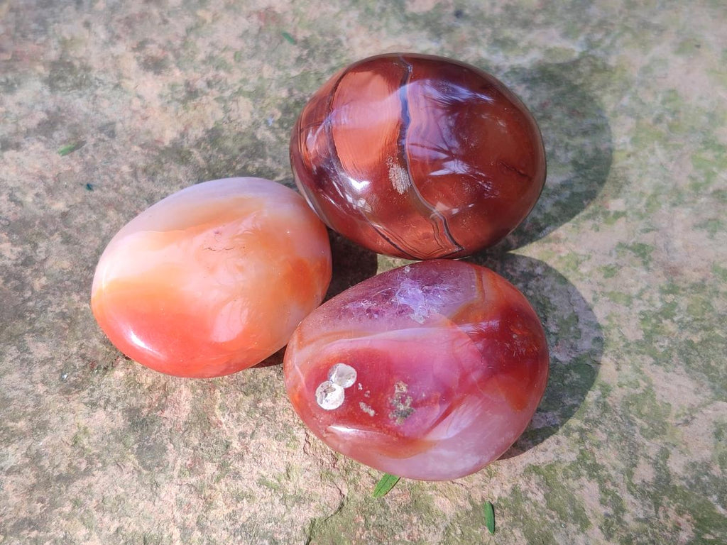 Polished Small Carnelian Agate Gemstone Galets x 49 From Madagascar - Toprock Gemstones and Minerals 