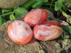 Polished Small Carnelian Agate Gemstone Galets x 49 From Madagascar - Toprock Gemstones and Minerals 