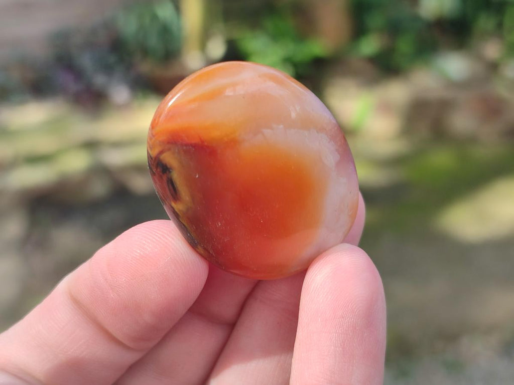 Polished Small Carnelian Agate Gemstone Galets x 49 From Madagascar - Toprock Gemstones and Minerals 