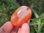 Polished Small Carnelian Agate Gemstone Galets x 49 From Madagascar - Toprock Gemstones and Minerals 