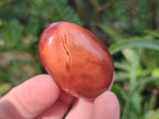 Polished Small Carnelian Agate Gemstone Galets x 49 From Madagascar - Toprock Gemstones and Minerals 