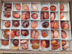 Polished Small Carnelian Agate Gemstone Galets x 49 From Madagascar - Toprock Gemstones and Minerals 