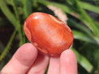 Polished Small Carnelian Agate Gemstone Galets x 49 From Madagascar - Toprock Gemstones and Minerals 