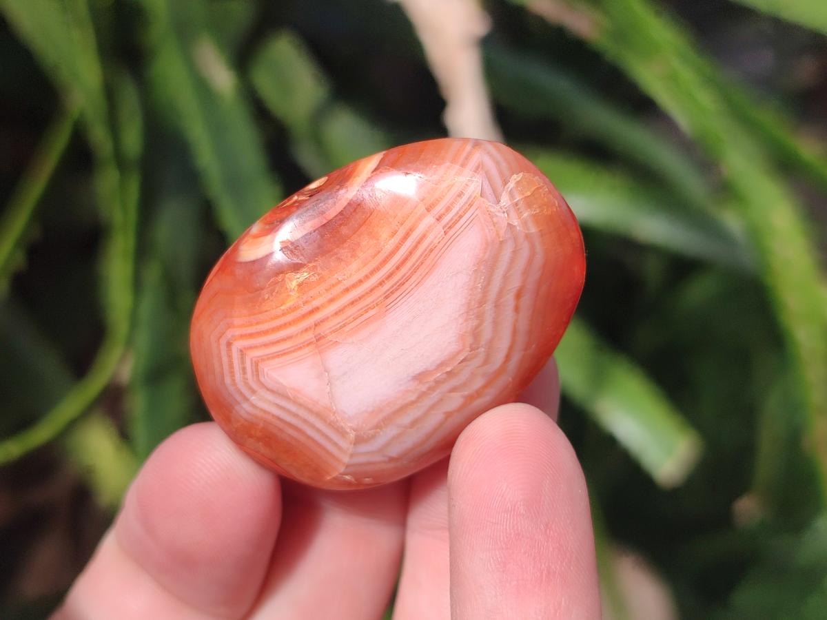 Polished Small Carnelian Agate Gemstone Galets x 49 From Madagascar - Toprock Gemstones and Minerals 