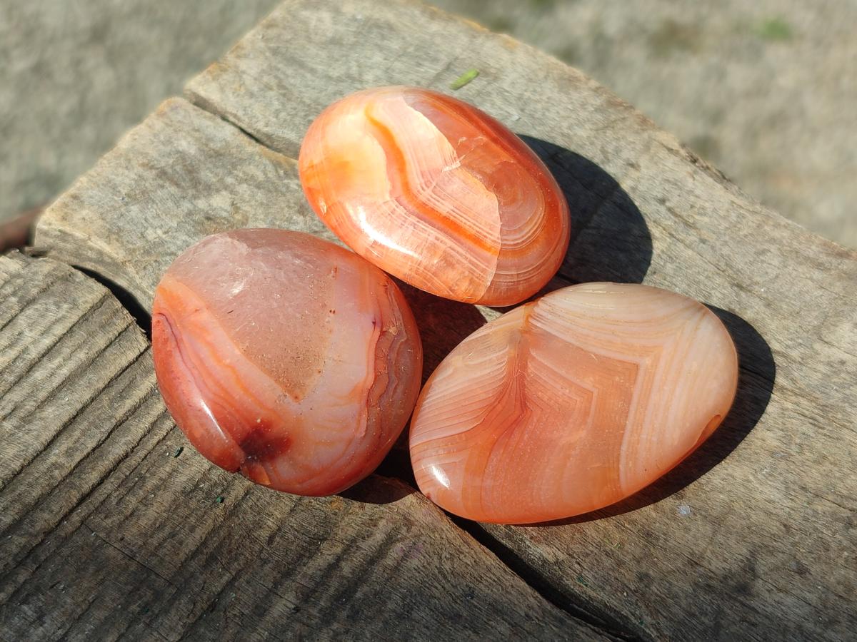 Polished Small Carnelian Agate Gemstone Galets x 49 From Madagascar - Toprock Gemstones and Minerals 