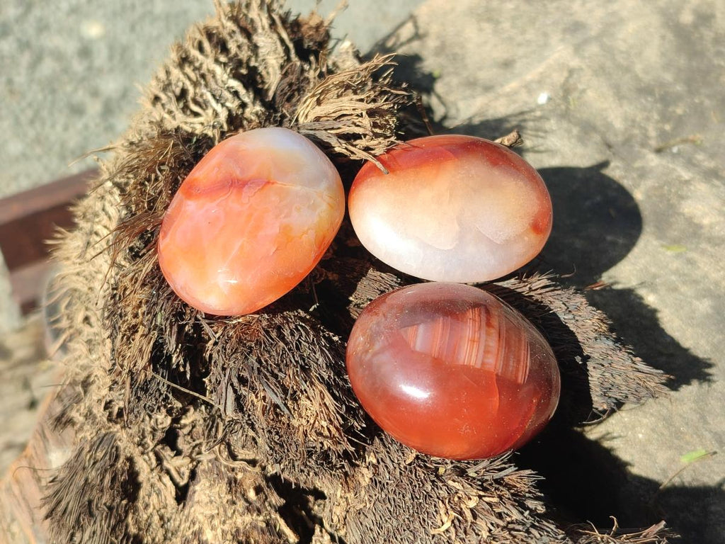 Polished Small Carnelian Agate Gemstone Galets x 49 From Madagascar - Toprock Gemstones and Minerals 