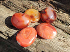 Polished Small Carnelian Agate Gemstone Galets x 49 From Madagascar - Toprock Gemstones and Minerals 