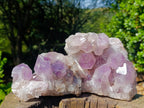 Natural Jacaranda Amethyst Crystal Clusters x 2 From Mumbwa, Zambia - Toprock Gemstones and Minerals 