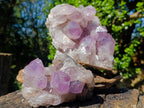 Natural Jacaranda Amethyst Crystal Clusters x 2 From Mumbwa, Zambia - Toprock Gemstones and Minerals 