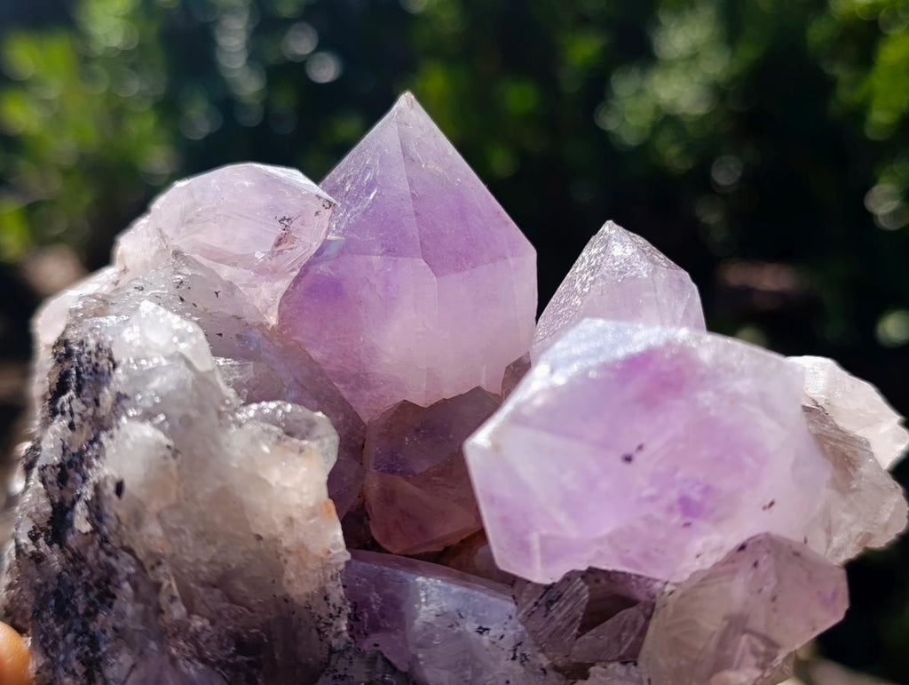 Natural Jacaranda Amethyst Crystal Clusters x 2 From Mumbwa, Zambia - Toprock Gemstones and Minerals 