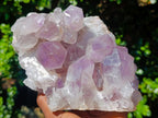 Natural Jacaranda Amethyst Crystal Clusters x 2 From Mumbwa, Zambia - Toprock Gemstones and Minerals 