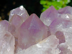 Natural Jacaranda Amethyst Crystal Clusters x 2 From Mumbwa, Zambia - Toprock Gemstones and Minerals 