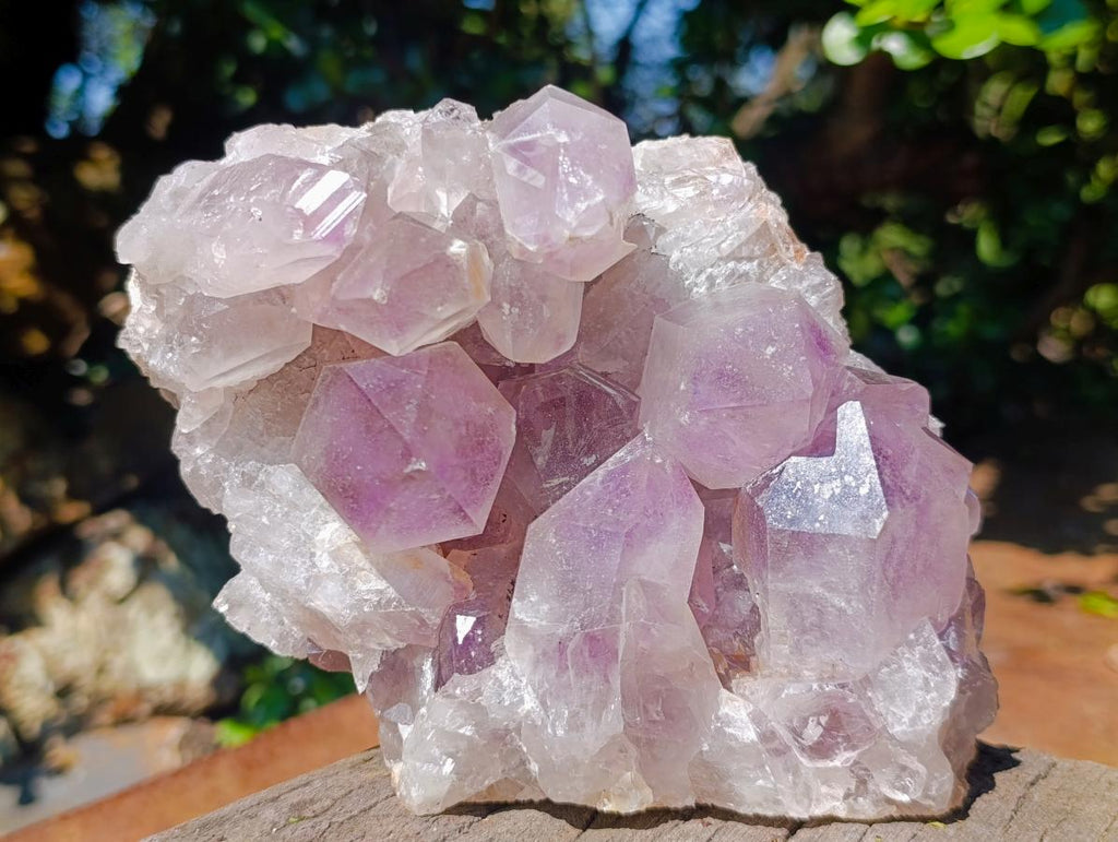 Natural Jacaranda Amethyst Crystal Clusters x 2 From Mumbwa, Zambia - Toprock Gemstones and Minerals 