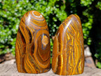 Polished Banded Tiger Iron and Golden River Tigers Eye Standing Display Pieces x 3 From South Africa - Toprock Gemstones and Minerals 
