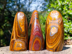 Polished Banded Tiger Iron and Golden River Tigers Eye Standing Display Pieces x 3 From South Africa - Toprock Gemstones and Minerals 