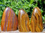 Polished Banded Tiger Iron and Golden River Tigers Eye Standing Display Pieces x 3 From South Africa - Toprock Gemstones and Minerals 