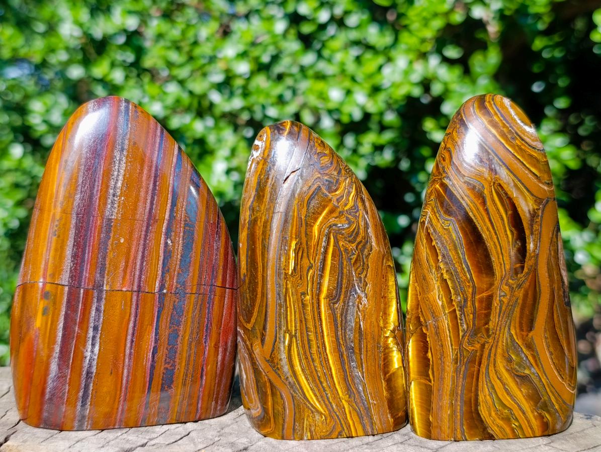 Polished Banded Tiger Iron and Golden River Tigers Eye Standing Display Pieces x 3 From South Africa - Toprock Gemstones and Minerals 