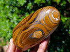 Polished Banded Tiger Iron and Golden River Tigers Eye Standing Display Pieces x 3 From South Africa - Toprock Gemstones and Minerals 