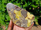 Polished Septerye Slices x 4 From Mahajanga, Madagascar - Toprock Gemstones and Minerals 