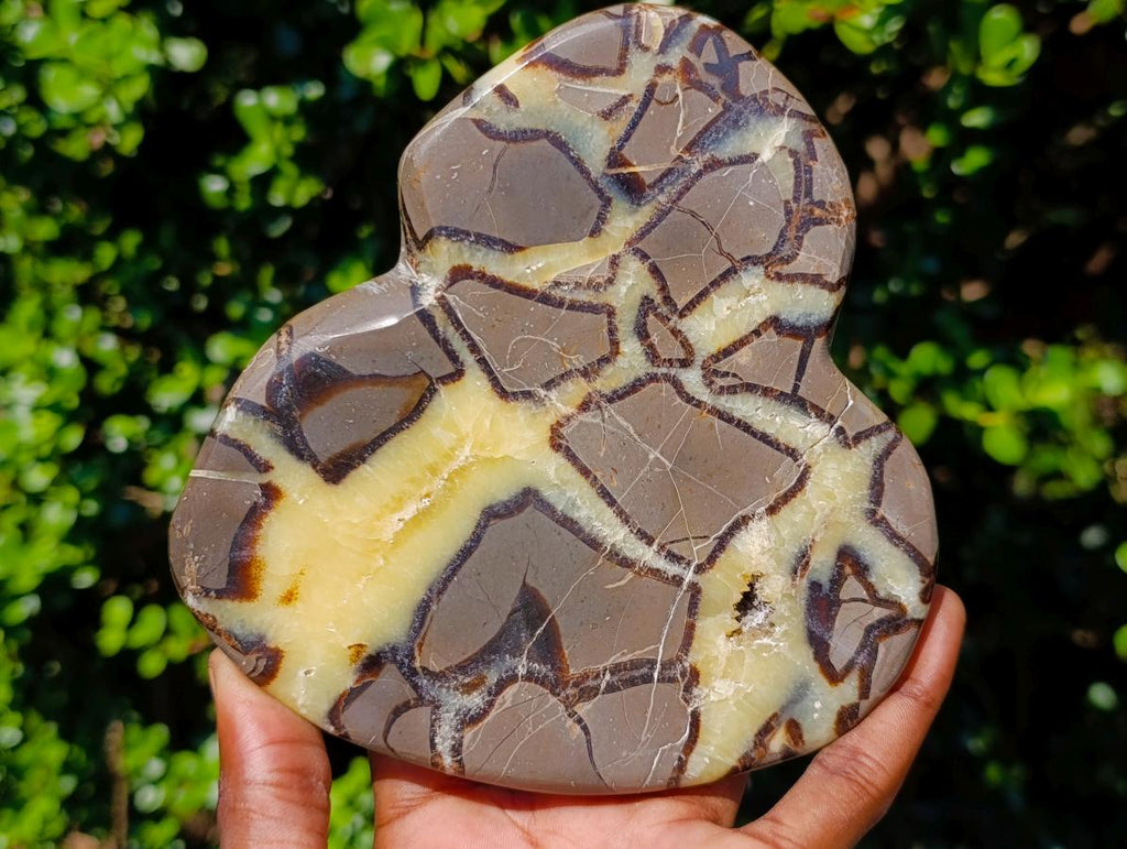 Polished Septerye Slices x 4 From Mahajanga, Madagascar - Toprock Gemstones and Minerals 