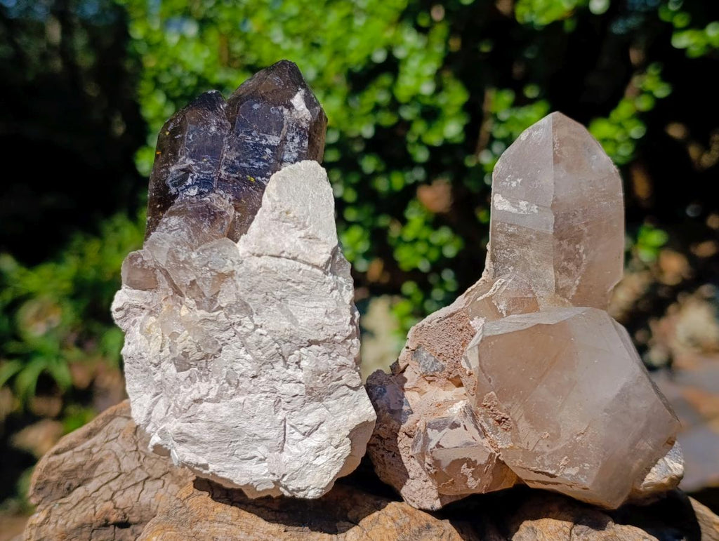 Natural Mixed Multi Mineral Specimens x 6 From Southern Africa - Toprock Gemstones and Minerals 