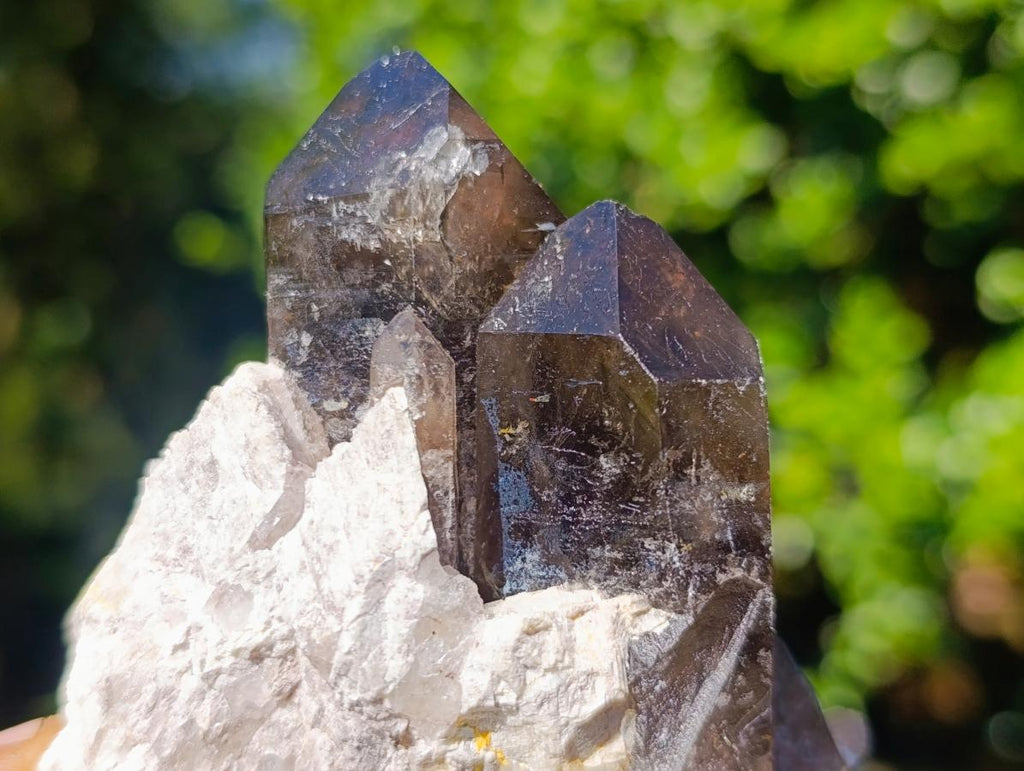 Natural Mixed Multi Mineral Specimens x 6 From Southern Africa - Toprock Gemstones and Minerals 