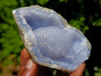 Natural Blue Lace Agate Geode Specimens x 12 From Nsanje, Malawi - Toprock Gemstones and Minerals 