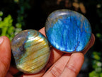 Polished Labradorite Palm Stones x 27 From Madagascar - Toprock Gemstones and Minerals 
