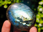 Polished Labradorite Palm Stones x 27 From Madagascar - Toprock Gemstones and Minerals 