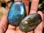 Polished Labradorite Palm Stones x 27 From Madagascar - Toprock Gemstones and Minerals 