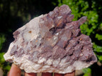 Natural Mix of Multi Mineral Specimens x 6 From Southern Africa - Toprock Gemstones and Minerals 