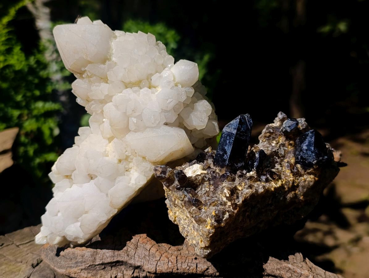 Natural Mix of Multi Mineral Specimens x 6 From Southern Africa - Toprock Gemstones and Minerals 