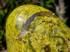 Polished Large Green Opal Standing Free Form x 1 From Betroka, Madagascar - Toprock Gemstones and Minerals 