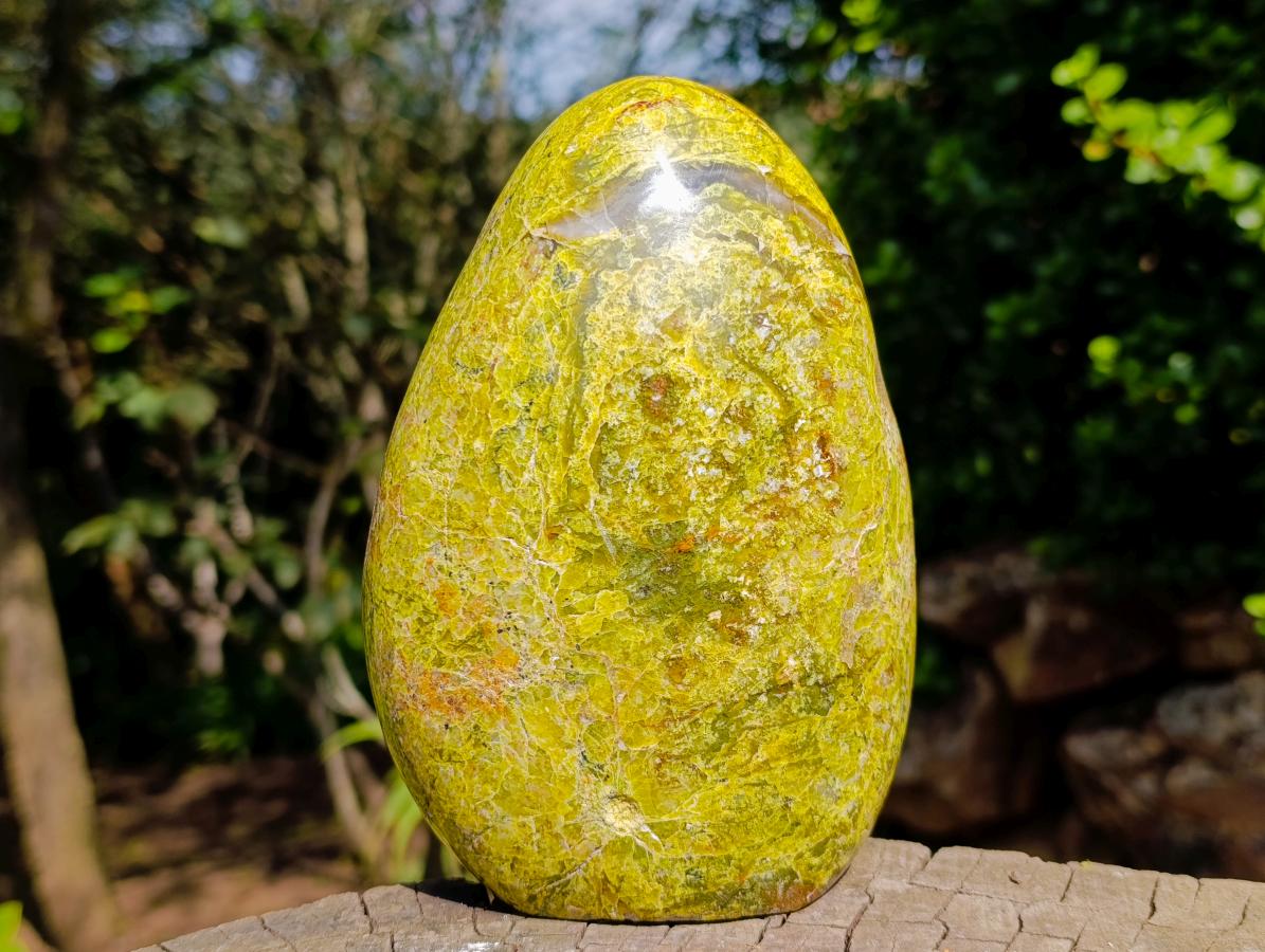 Polished Large Green Opal Standing Free Form x 1 From Betroka, Madagascar - Toprock Gemstones and Minerals 