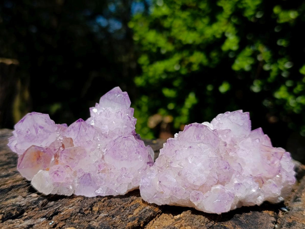 Natural Sunburst Spirit Amethyst Clusters x 6 From Boekenhouthoek, South Africa - Toprock Gemstones and Minerals 