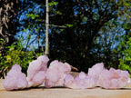Natural Sunburst Spirit Amethyst Clusters x 6 From Boekenhouthoek, South Africa - Toprock Gemstones and Minerals 