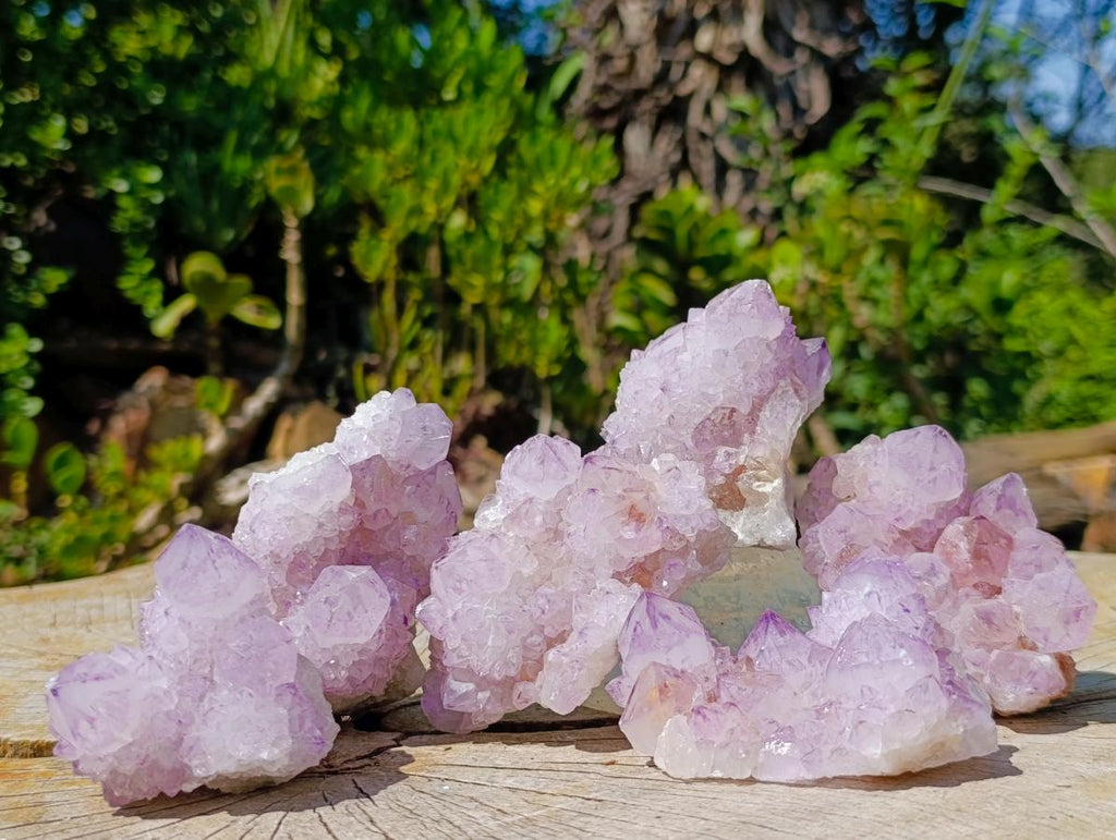 Natural Sunburst Spirit Amethyst Clusters x 6 From Boekenhouthoek, South Africa - Toprock Gemstones and Minerals 