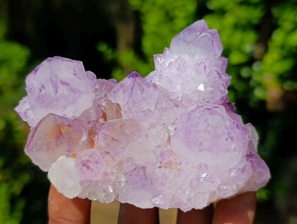 Natural Sunburst Spirit Amethyst Clusters x 6 From Boekenhouthoek, South Africa - Toprock Gemstones and Minerals 