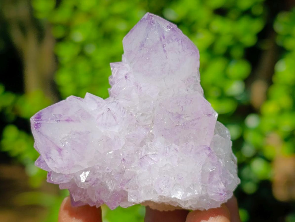 Natural Sunburst Spirit Amethyst Clusters x 6 From Boekenhouthoek, South Africa - Toprock Gemstones and Minerals 